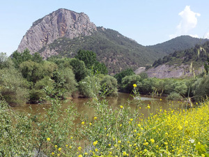 Foto16b.jpg