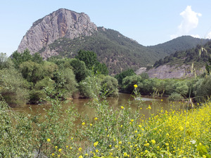 Foto16b.jpg