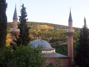 Foto5.jpg