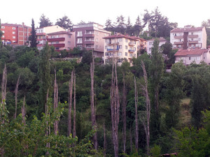 Foto6b.jpg