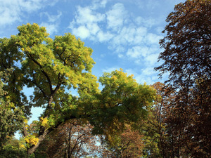 Foto-01.jpg