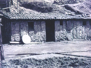 iscibarinagi730.jpg
