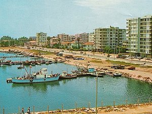 Mersin_Selvi_Tolgo_Ünlü