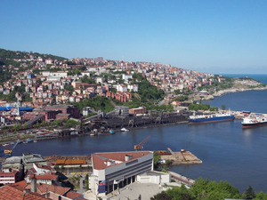 6730730.jpg