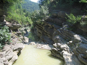 9730730.jpg