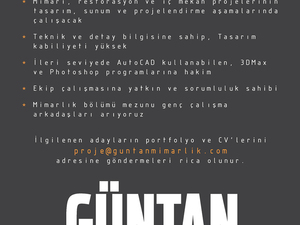 guntan.jpg
