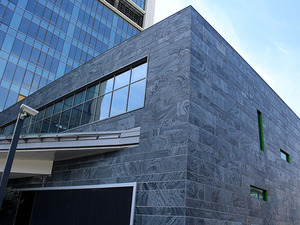 2.bayavm.JPG