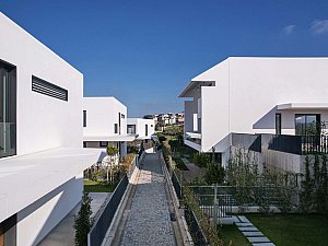 06.jpg