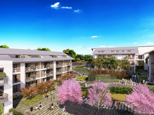 hopkins01.jpg