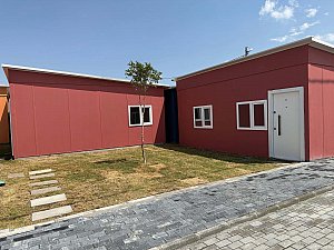 IMG_2905.jpg