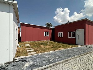 IMG_2923.jpg