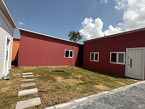 IMG_2924.jpg