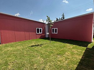 IMG_2931.jpg