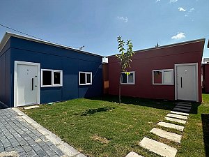 IMG_2933.jpg