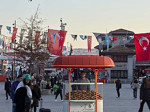 DSC09037.jpg