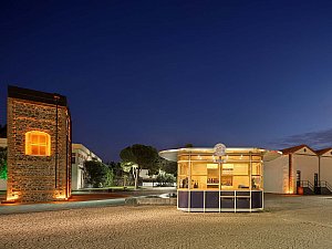 ZMY_9055-1.jpg