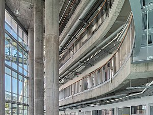 ZMY_5015-1.JPG