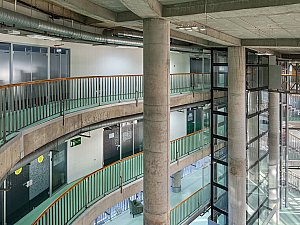 ZMY_5140-1.JPG