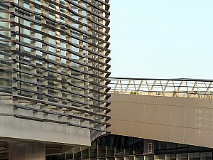 ZMY_5222-1.JPG