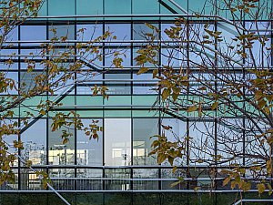ZMY_5229-1.JPG