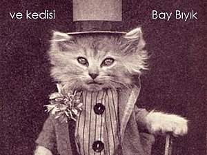 Başlığı girin