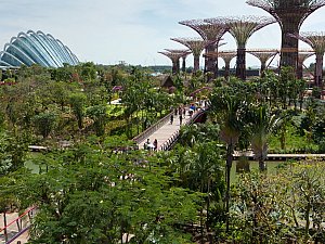 Singapur'dan Mimari bir başyapıt: Gardens By the Bay