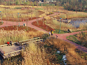 tianjin qiaoyuan park.jpg