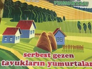 yumurta.JPG