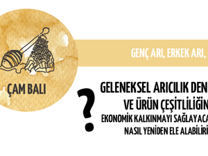 13proje-07.jpg