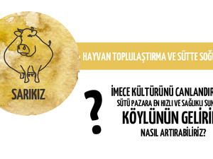 13proje-10.jpg