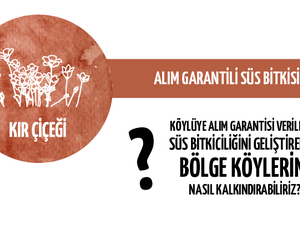 13proje-11.jpg