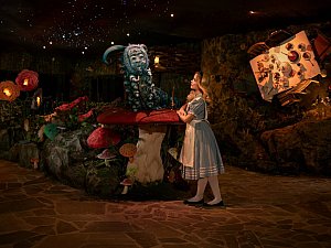 beluga_lavare_alice-4.jpg