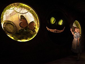 beluga_lavare_alice-5.jpg