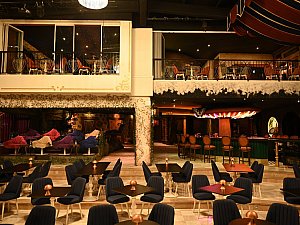 beluga_lavare_alice-9.jpg
