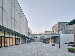 EKAP9523_lysW.jpg