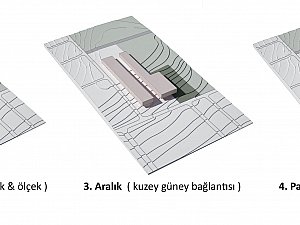 luleburgaz ikikerebir (2).jpg
