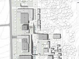 luleburgaz ikikerebir (4).jpg