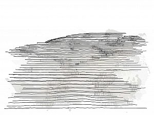NEF-01.jpg