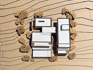 41