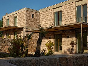 04.jpg