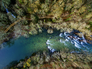 paiva-walkways-13.jpg