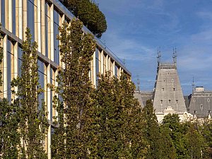 palas kampüs (11).jpg