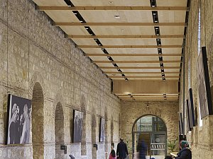 Rami-Library_199771.jpg