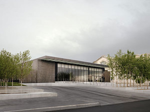 saint_louis_art_museum.jpg