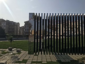 010.jpg