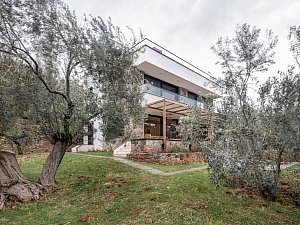 Studio OM_Sazlı DY Evi 02 © Hacer Bozkurt_2577.jpg