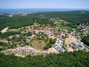 01-4.jpg
