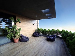 IMG_9282.jpg
