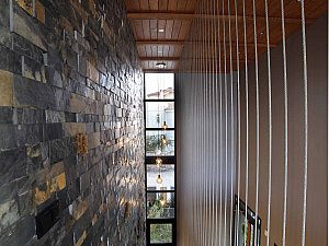 IMG_9293.jpg