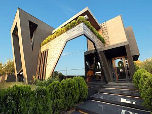 IMG_9321.jpg